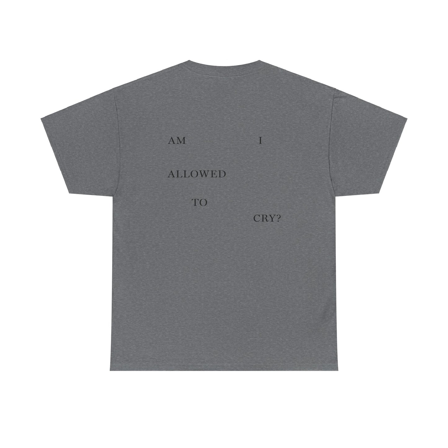 "AM I ALLOWED TO CRY?" TTPD 3rd Variant T-Shirt (TS, The Tortured Poets Department, Basic Tee, Unisex Heavy Cotton Tee)