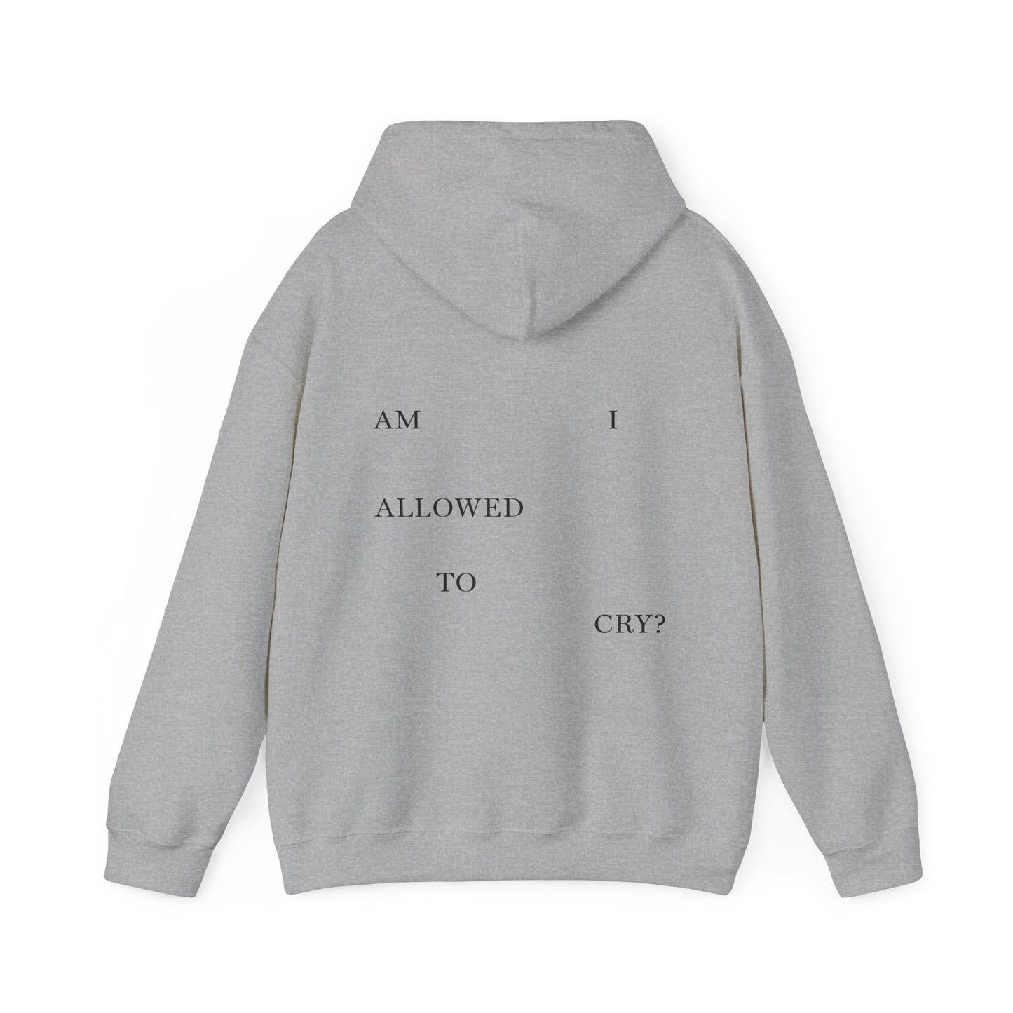 "AM I ALLOWED TO CRY?" 'The Albatross' Variant Hoodie (TS, The Tortured Poets Department, Unisex Heavy Blend™ Hooded Sweatshirt)