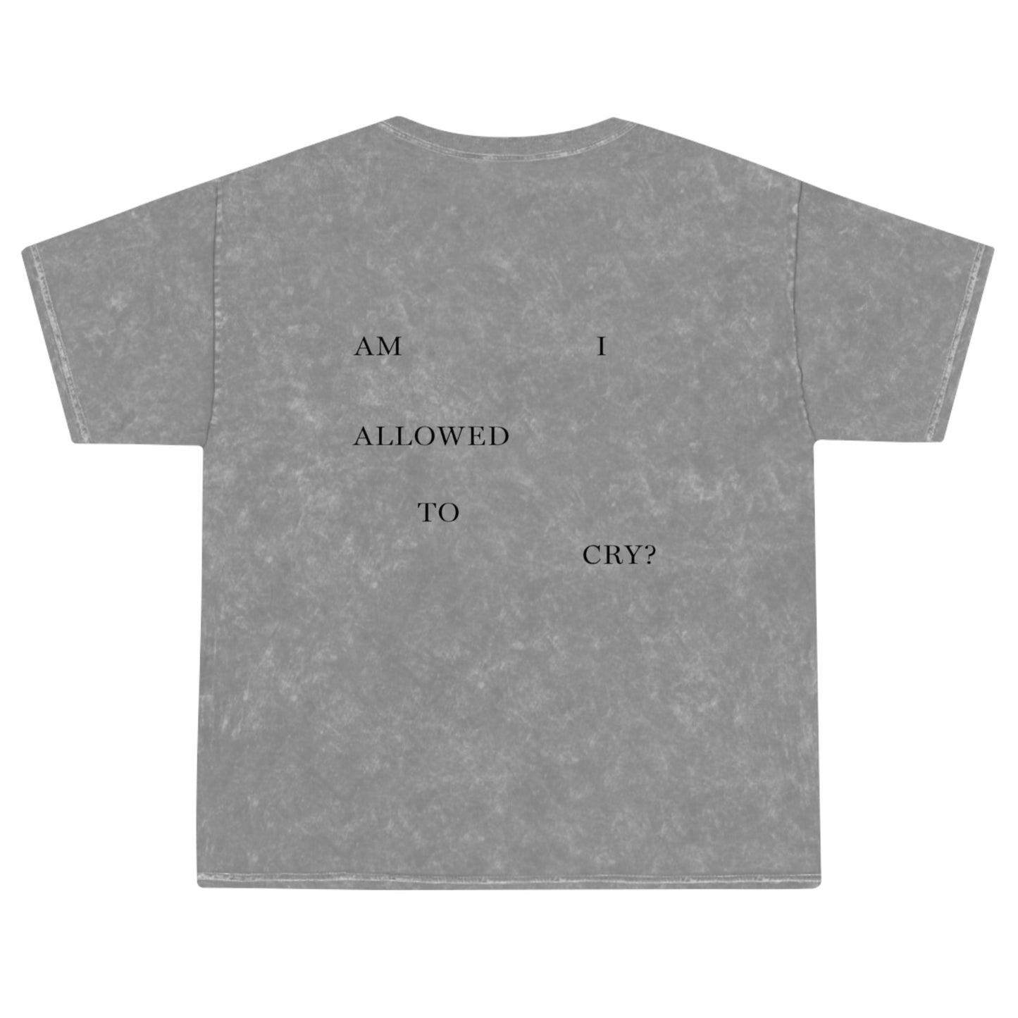 "AM I ALLOWED TO CRY?" TTPD 'The Albatross' Variant T-Shirt - Mineral Wash (TS, The Tortured Poets Department, TS 11)