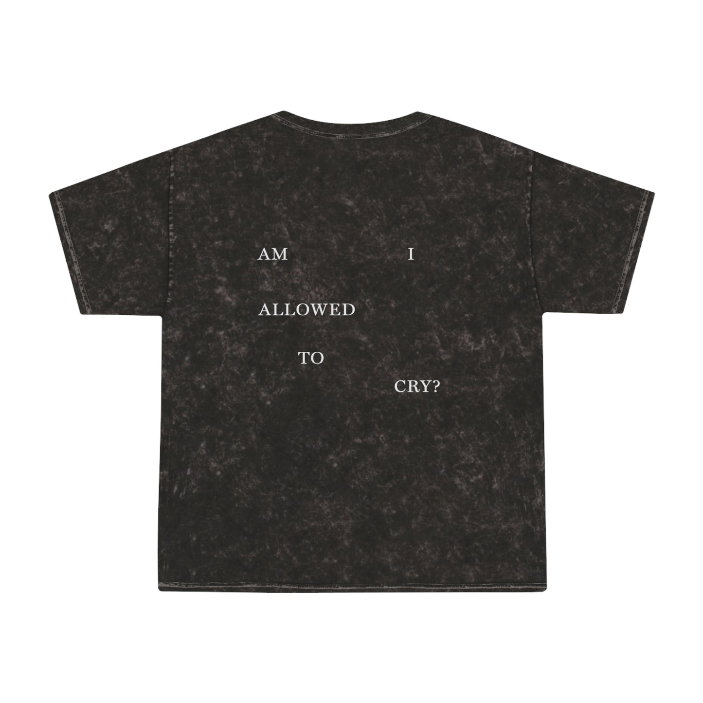 "AM I ALLOWED TO CRY?" TTPD 'The Albatross' Variant T-Shirt - Mineral Wash (TS, The Tortured Poets Department, TS 11)