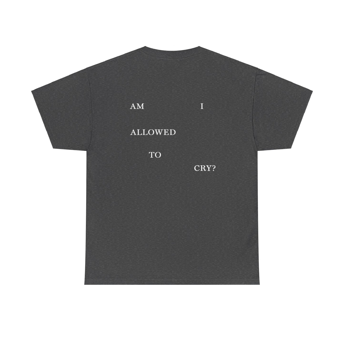 "AM I ALLOWED TO CRY?" TTPD 3rd Variant T-Shirt (TS, The Tortured Poets Department, Basic Tee, Unisex Heavy Cotton Tee)