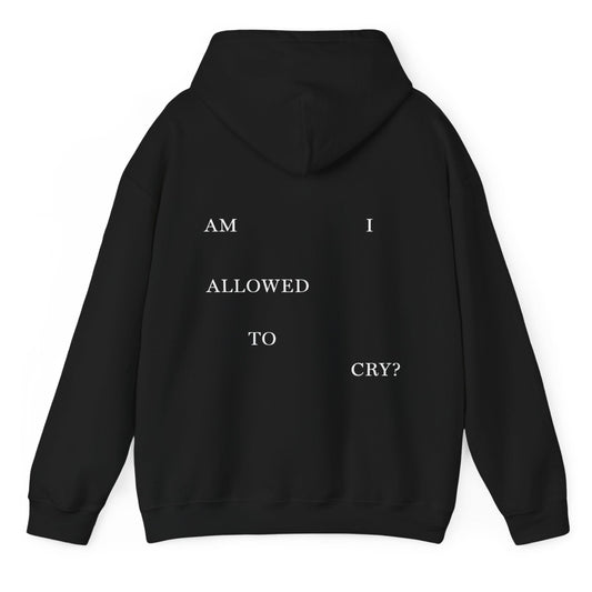 "AM I ALLOWED TO CRY?" 'The Albatross' Variant Hoodie (TS, The Tortured Poets Department, Unisex Heavy Blend™ Hooded Sweatshirt)