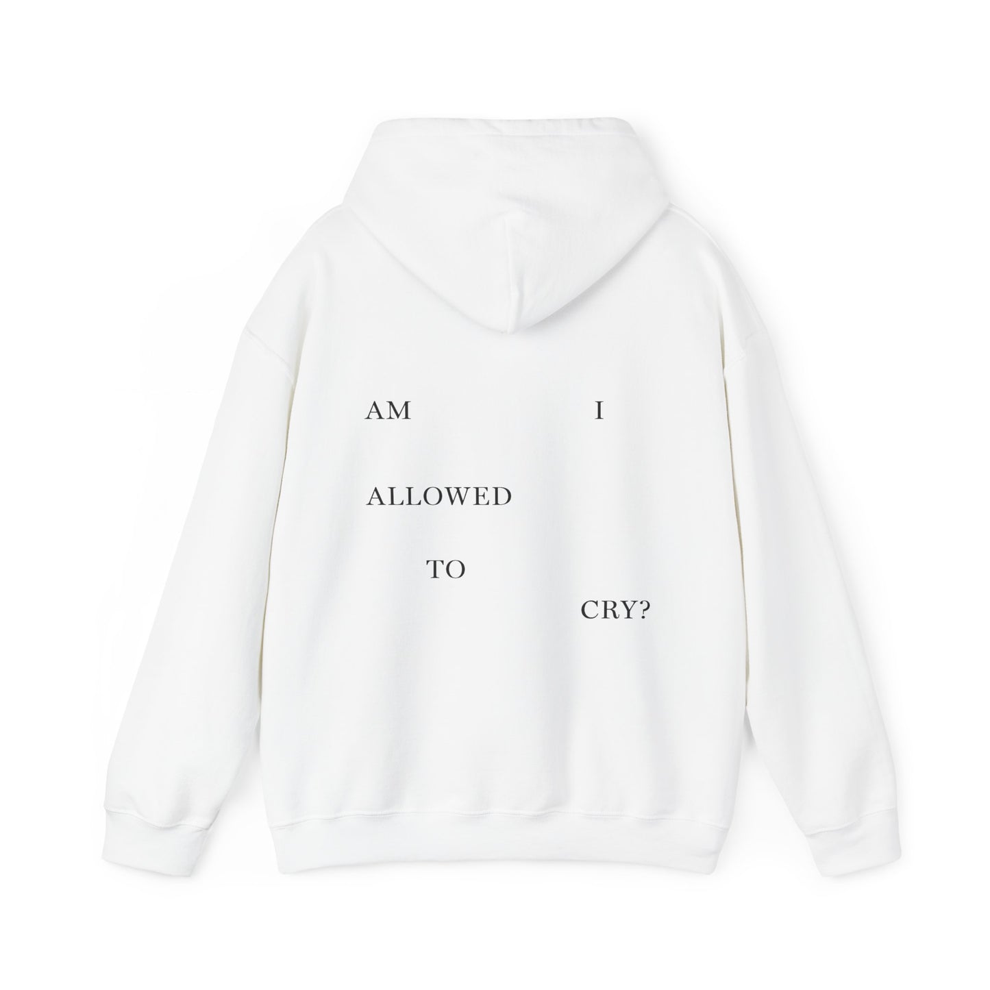 "AM I ALLOWED TO CRY?" 'The Albatross' Variant Hoodie (TS, The Tortured Poets Department, Unisex Heavy Blend™ Hooded Sweatshirt)