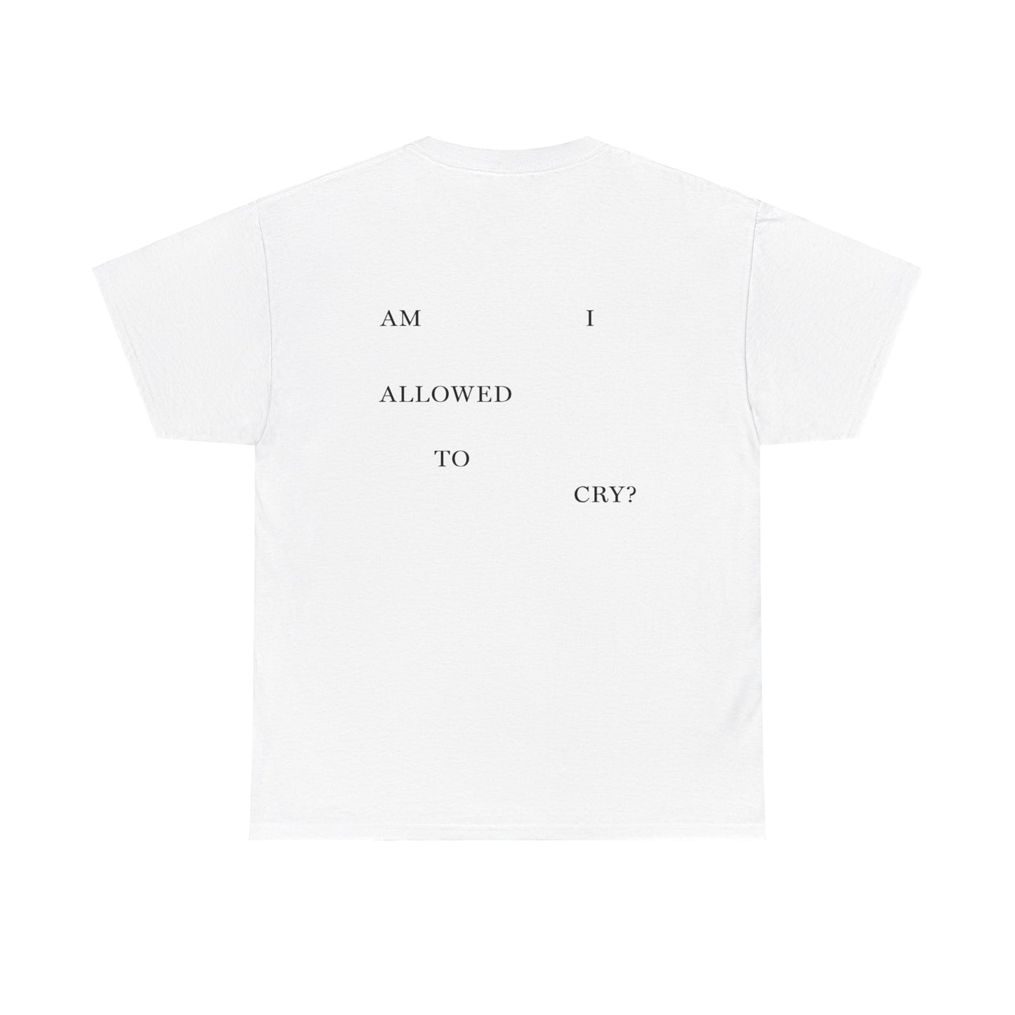 "AM I ALLOWED TO CRY?" TTPD 3rd Variant T-Shirt (TS, The Tortured Poets Department, Basic Tee, Unisex Heavy Cotton Tee)