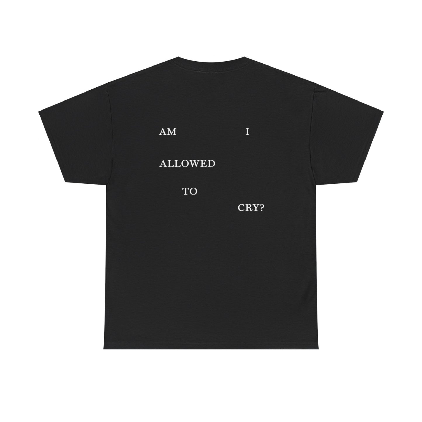 "AM I ALLOWED TO CRY?" TTPD 3rd Variant T-Shirt (TS, The Tortured Poets Department, Basic Tee, Unisex Heavy Cotton Tee)