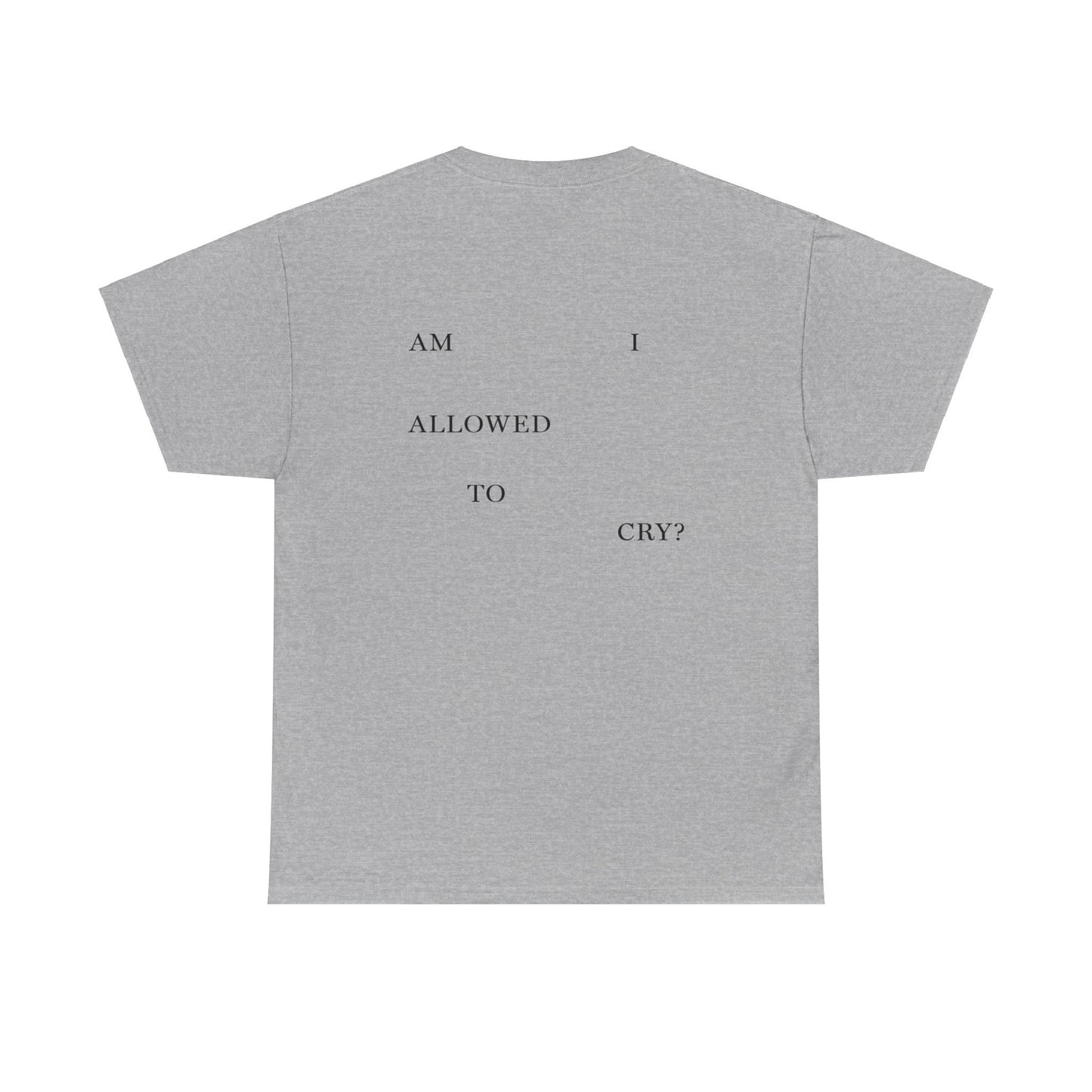 "AM I ALLOWED TO CRY?" TTPD 3rd Variant T-Shirt (TS, The Tortured Poets Department, Basic Tee, Unisex Heavy Cotton Tee)