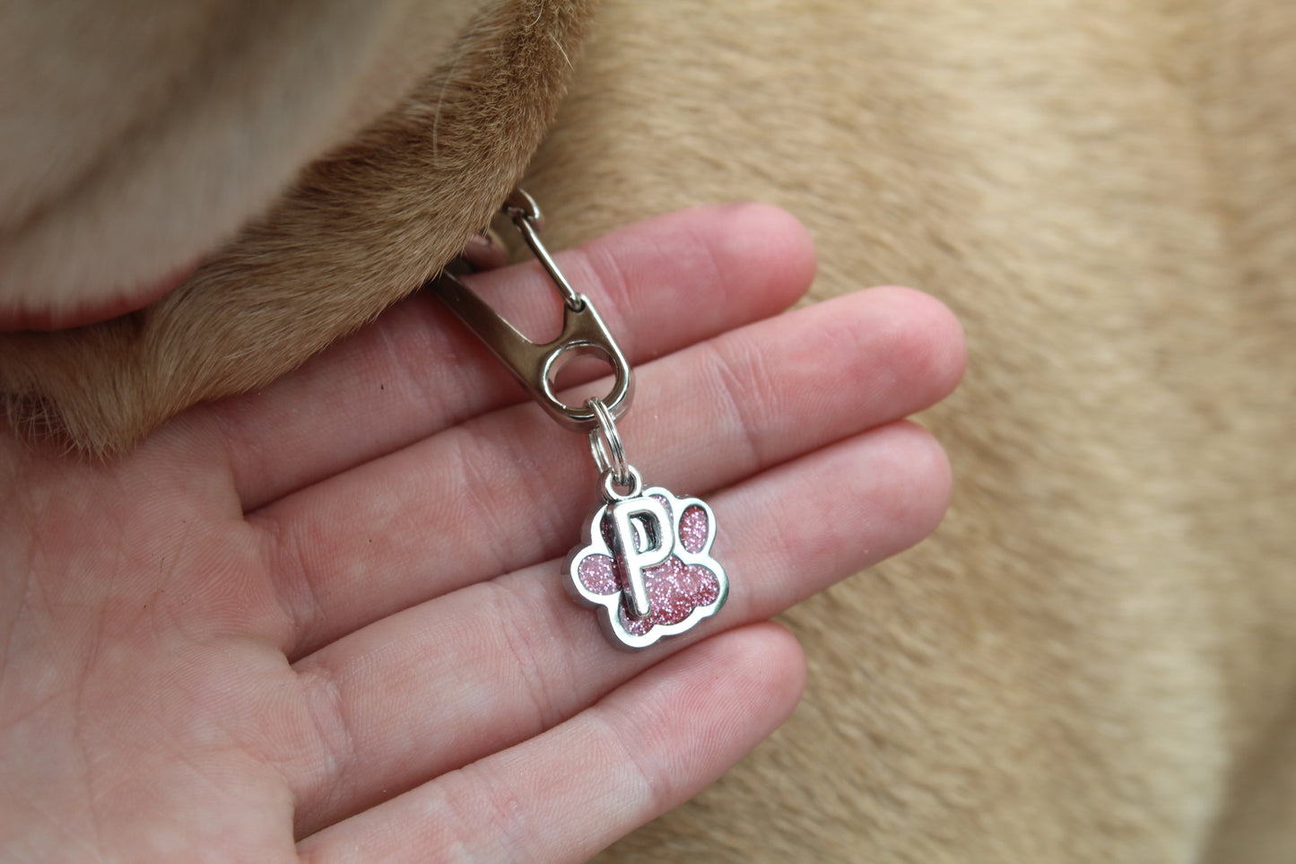 Dog/Cat Paw and Initial Silver Collar Charm/Keychain (ALL COLORS!)