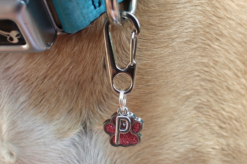 Dog/Cat Paw and Initial Silver Collar Charm/Keychain (ALL COLORS!)