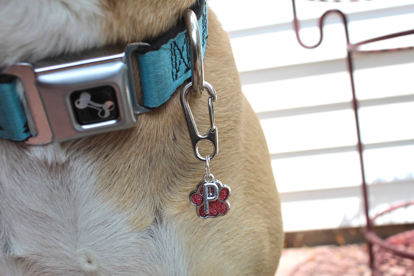 Dog/Cat Paw and Initial Silver Collar Charm/Keychain (ALL COLORS!)